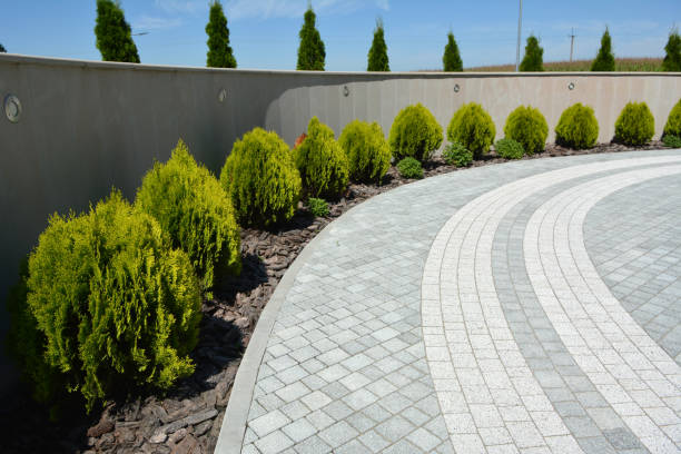 Reasons to Select Us for Your Driveway Paving Requirements in Riverdale, GA
